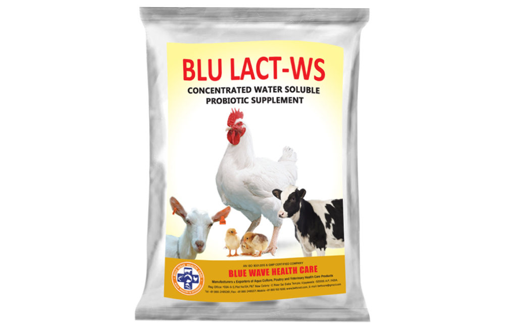 BLU LACT-WS (Concentrated water soluble Probiotic  Supplement)